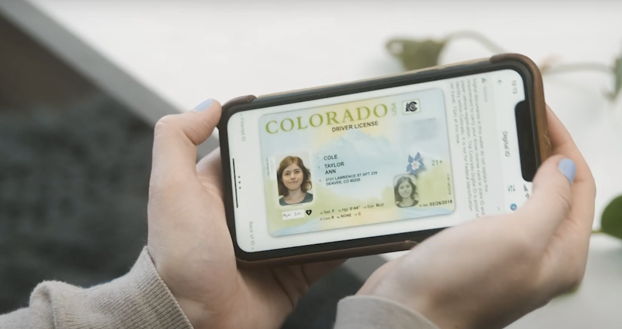 New Id Card Colorado
